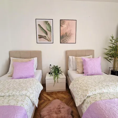 Luminous Appartement